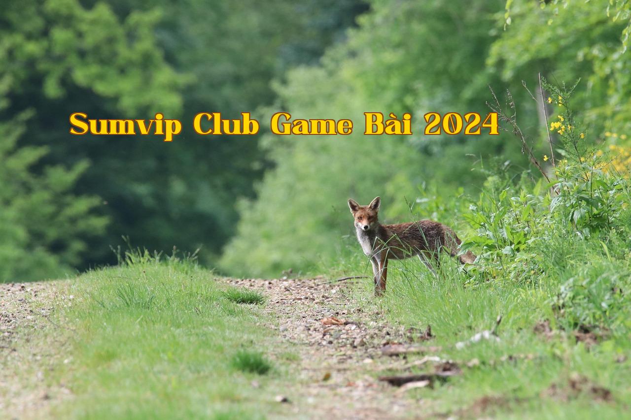 Featured image of post (135568fb1e11d167afe1c02da5b84ac3720 - tải game đánh bài đổi thưởng rút tiền
