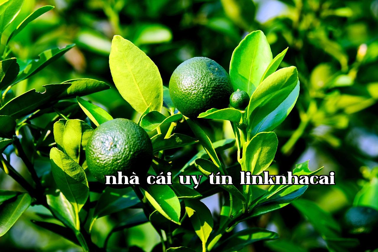 Featured image of post “Mình ước gì có một em trai đáng yêu - 7win