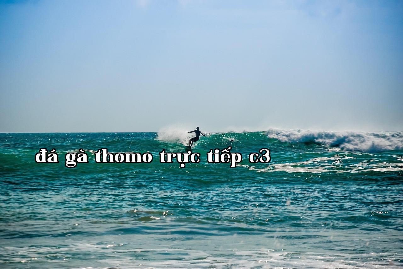Featured image of post Nhật ký vận động Tuần đầu tiên đã hoàn thành - sanvip.club