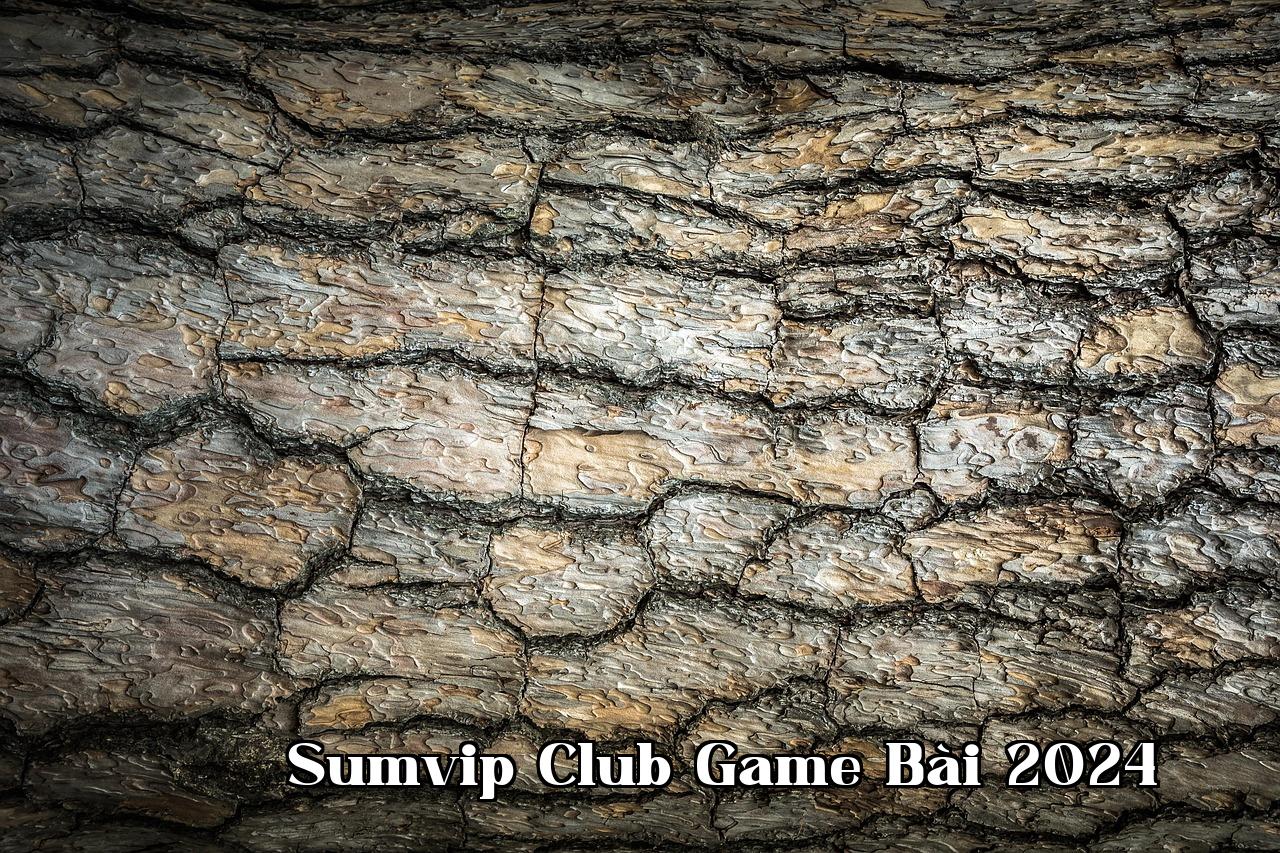 Featured image of post Con đường làng dưới hoàng hôn - Sumvip Club Game Bài 2024