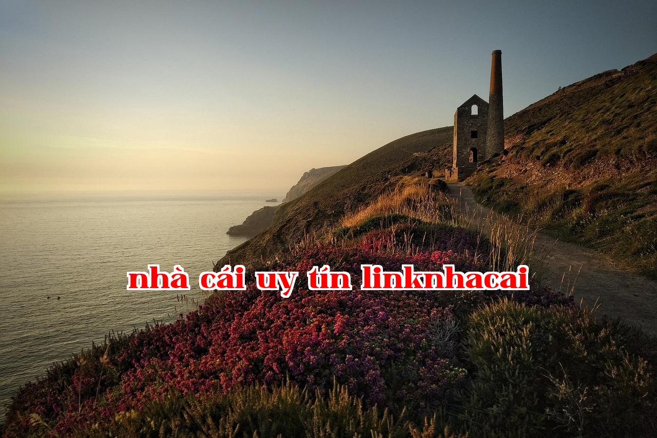 Featured image of post Plugin Khối Halo của Xingdu - THYUU (Thử nghiệm) - iwin58