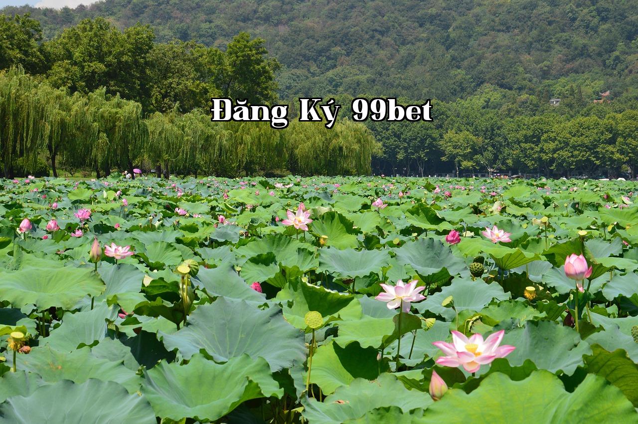 Featured image of post Nhưng rồi, hình ảnh ấy cứ ám ảnh tôi - 7win