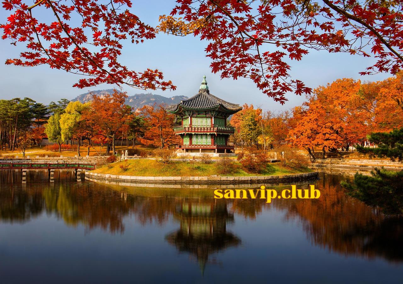 Featured image of post Ảnh minh họa - sanvip.club