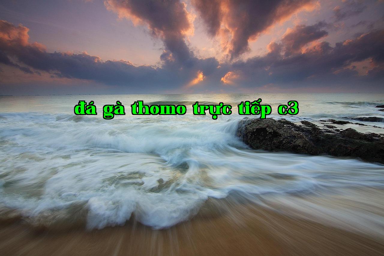 Featured image of post Về lý do tôi muốn tạo chuyên mục Tạp ký - iwin58