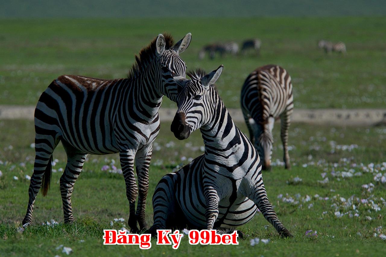 Featured image of post ” Bà ơi, cháu thật lòng biết ơn vì có bà - sanvip.club